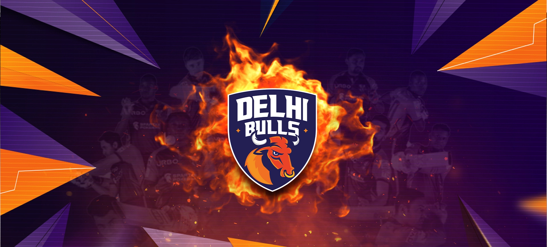 Delhi Bulls Sponsor Banner